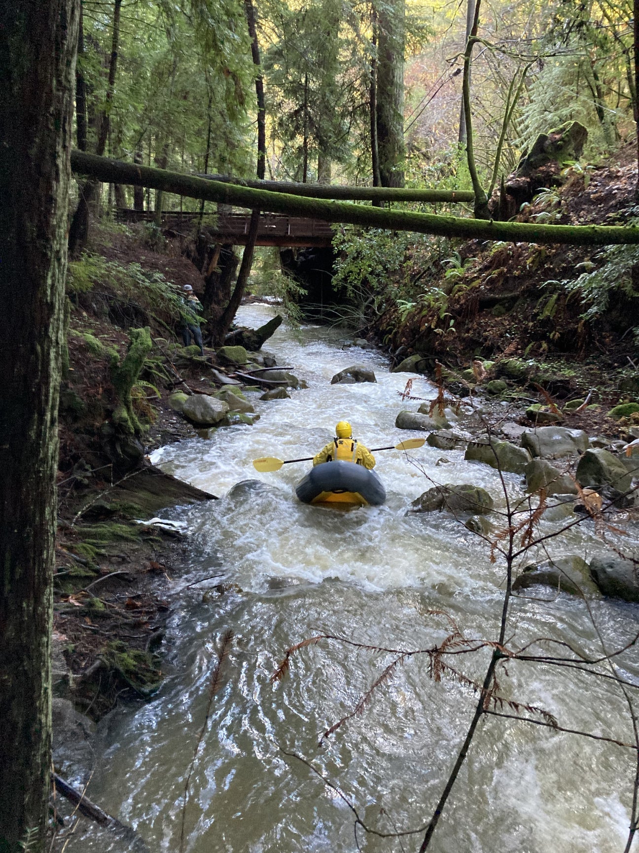 Collections nyce kayaks